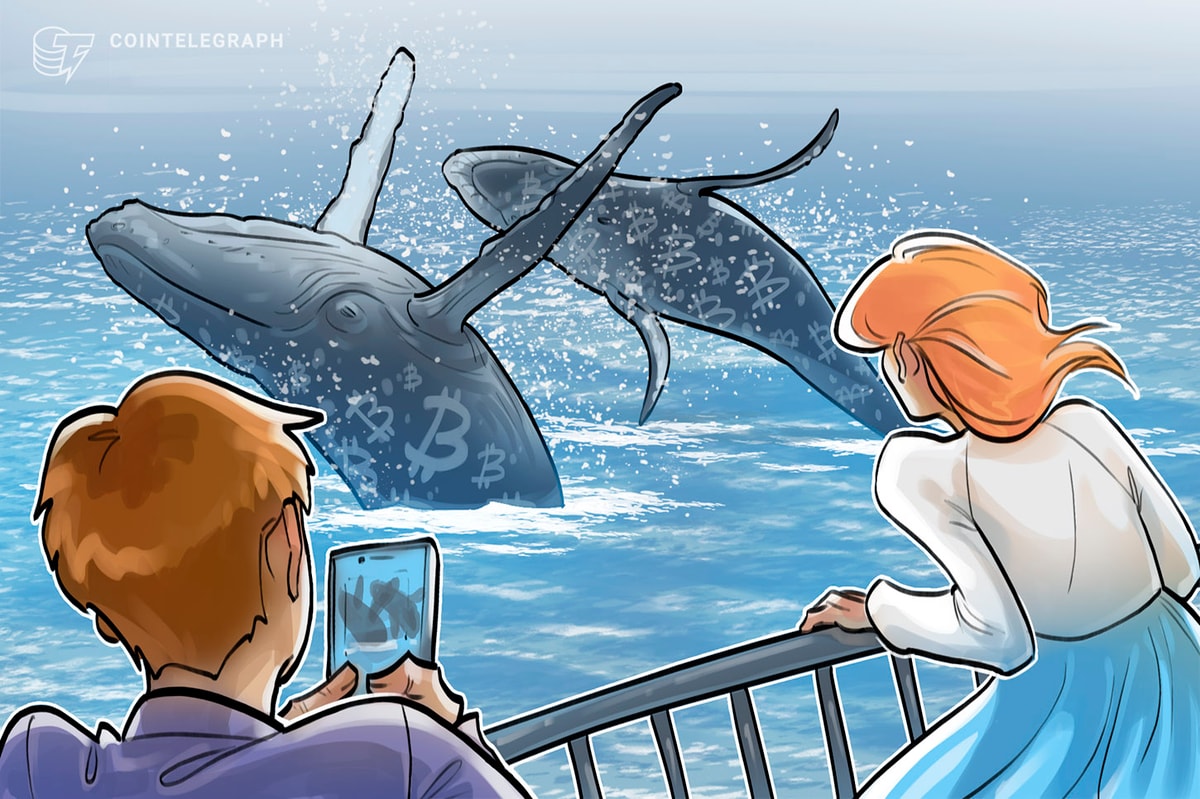 Dev Bitcoin balinası Trump'ın seçilmesinden sonra BTC rezervini iki katına çıkardı
