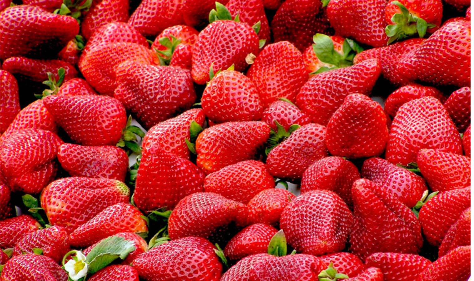 Kaliteli Uyku İçin İhtiyacınız Olan 9 Vitamin! - En son hayat haberleri - görsel 5