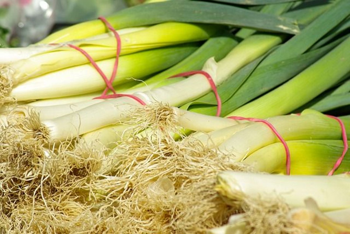 Kokusuz bir mutfağın sırrı kulpta! Metabolizmayı hızlandırır ve mikropları öldürür - görsel 6