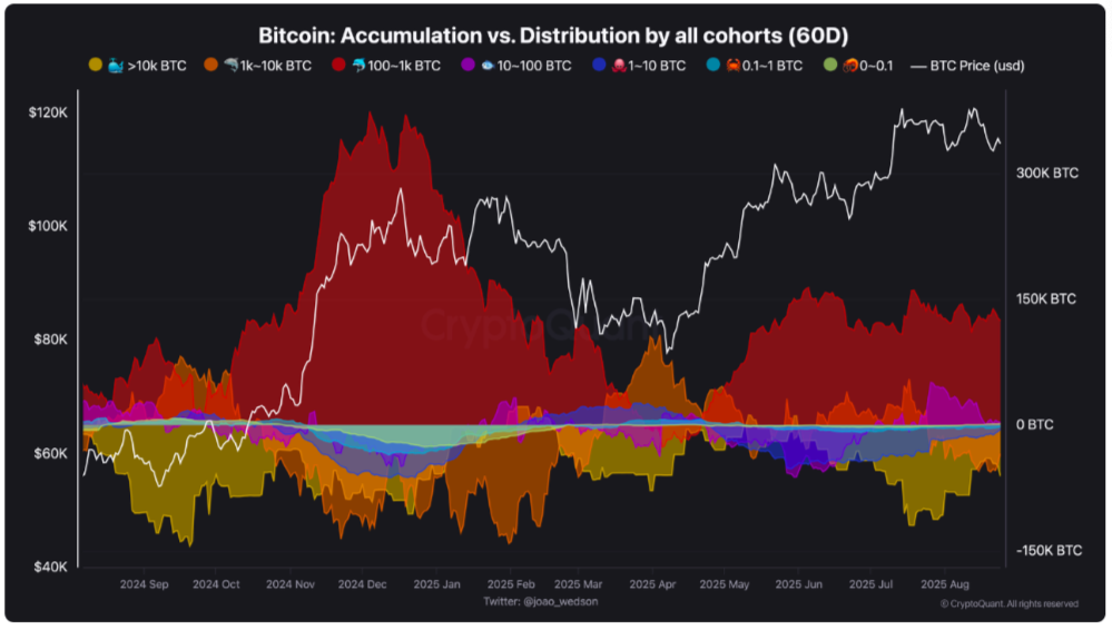 Bitcoin'de büyük sarsıntı — Bu hafta Bitcoin hakkında bilmeniz gereken 5 şey - görsel 6