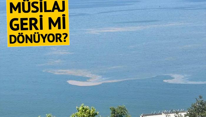 Marmara Denizi'nde endişelendiren manzara!  Müsilaj modaya geri mi dönüyor?
