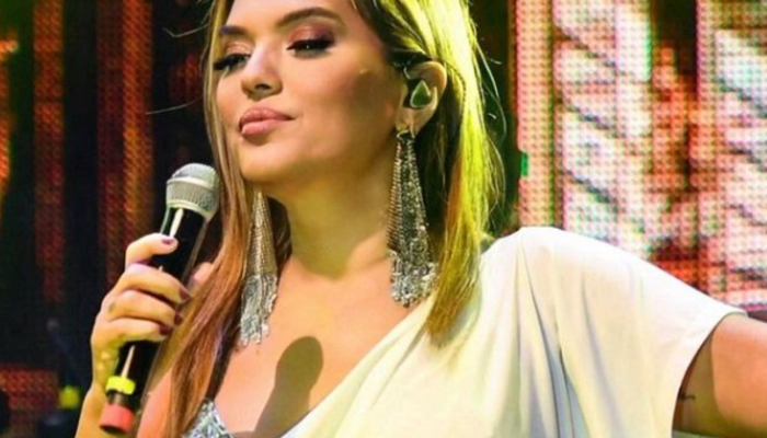 Masraflardan bile şikayetçi oldu!  Demet Akalın 'Aptal fiyatlar' diyerek tüccarları uyardı