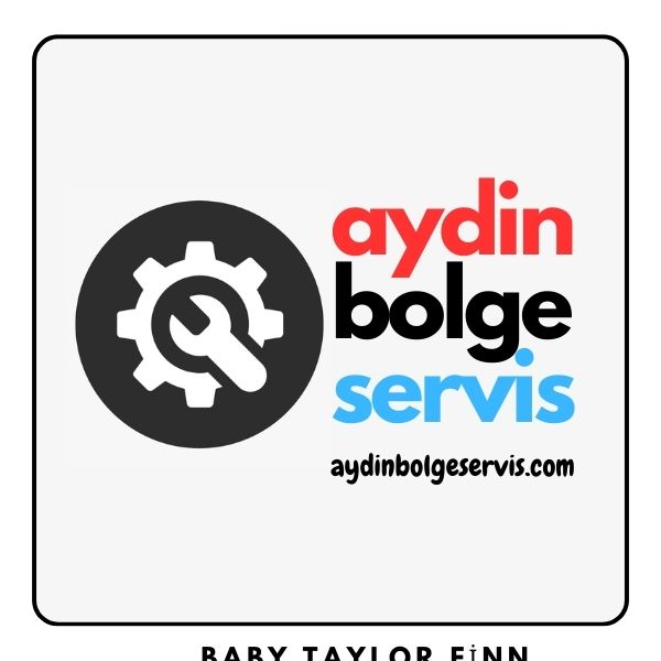 Aydın Bölge Servis logosu