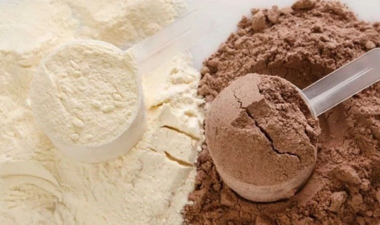 Protein tozundaki ağır metal tehlikesi: Kurşun seviyeleri endişe verici seviyelere ulaşabilir - Son Dakika Yaşamı, Haberi Keşfet