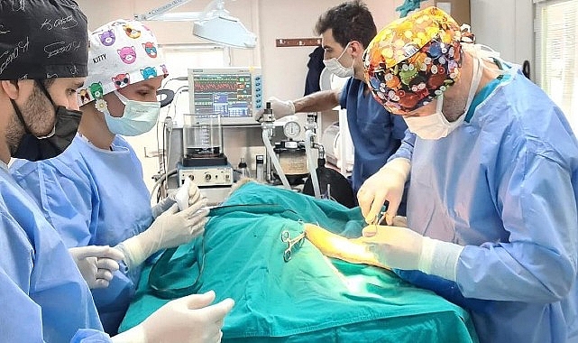 Osmangazi Belediyesi en fazla sokak hayvanını kısırlaştırdı - SAĞLIK
