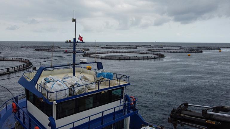 Hatay'dan Avrupa tablolarına kadar
