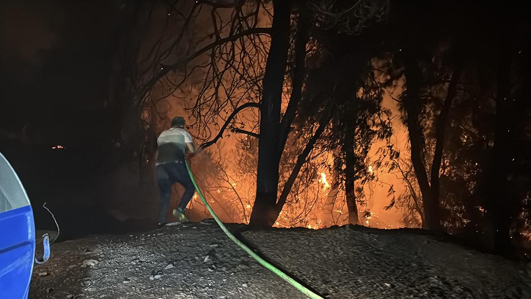 Antalya ve Mukla'daki orman yangınları! Alevler mahalleleri çevreledi, evlere dağıldı ... 5