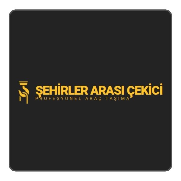 çoklu çekici, çoklu araç taşıma